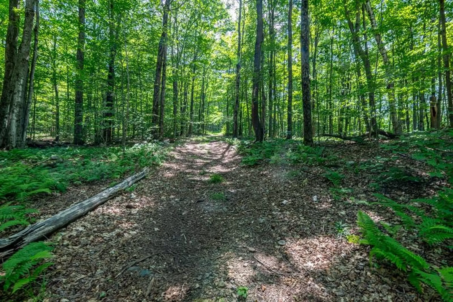 2734 Mad Tom Road Dorset VT 05253