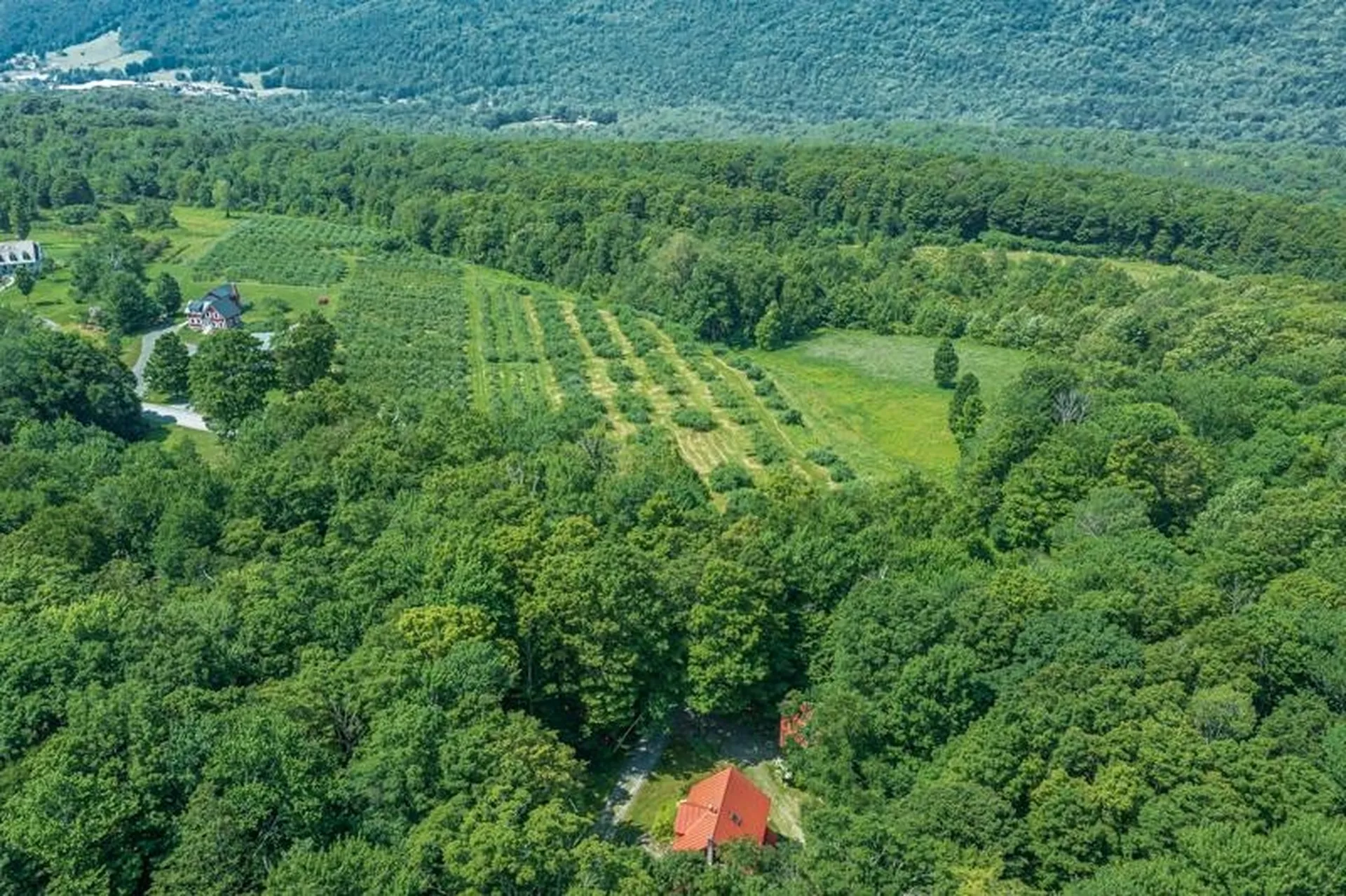2734 Mad Tom Road Dorset VT 05253