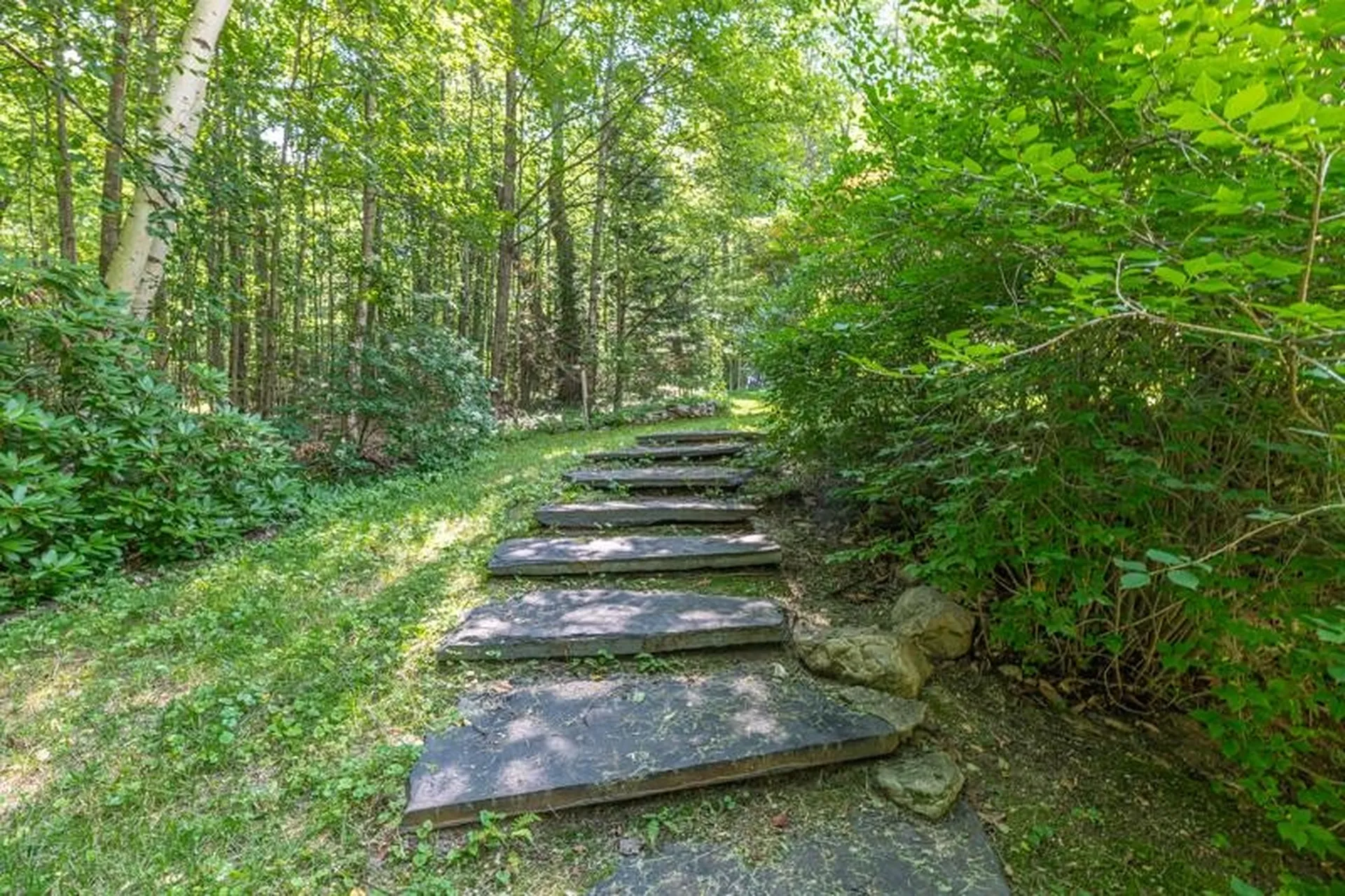 2734 Mad Tom Road Dorset VT 05253