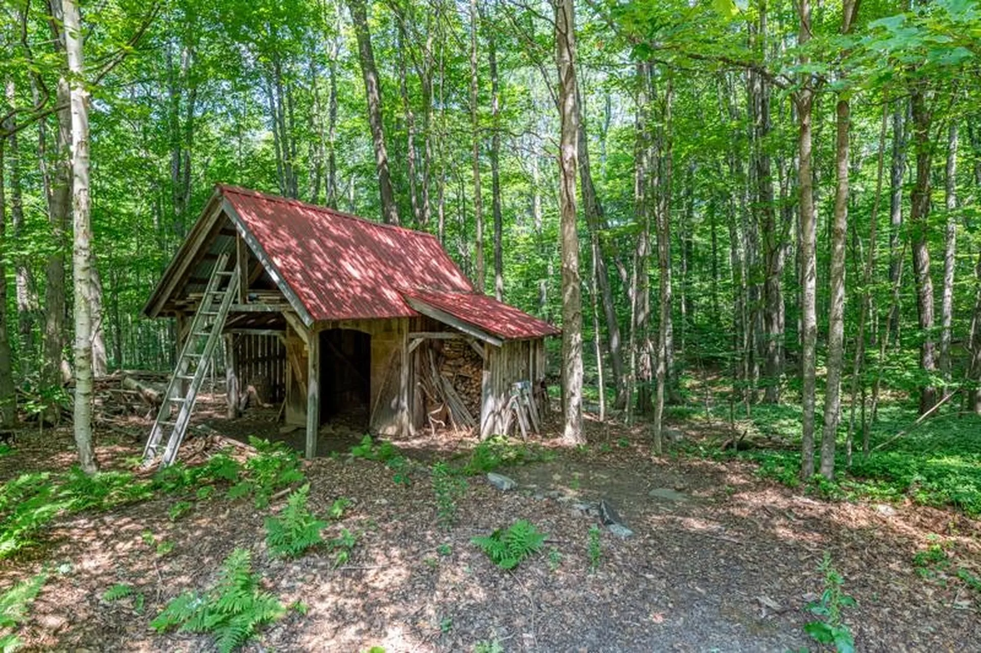 2734 Mad Tom Road Dorset VT 05253