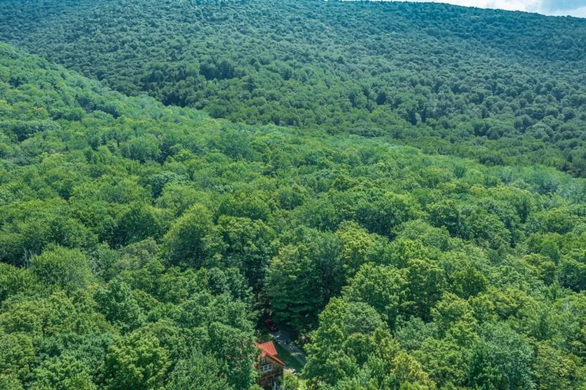 2734 Mad Tom Road Dorset VT 05253