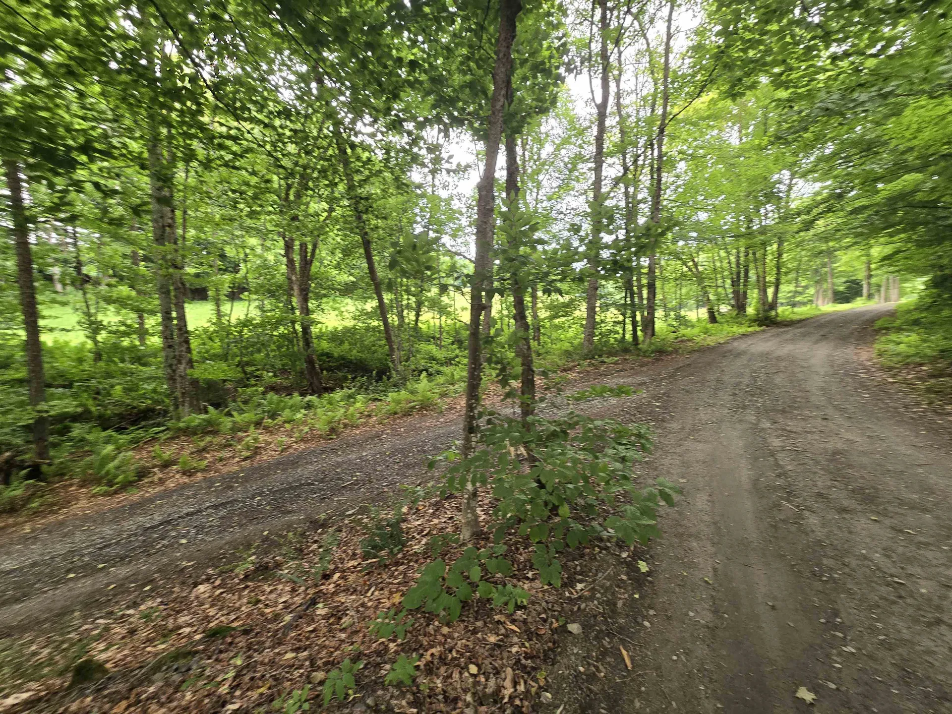 237 Upper Maloney Road Brookfield VT 05036
