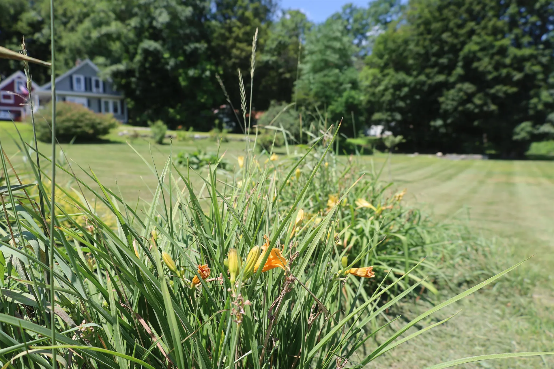 427 Depot Street Chester VT 05143