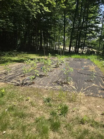 9 Burdett Road Bartlett NH 03845