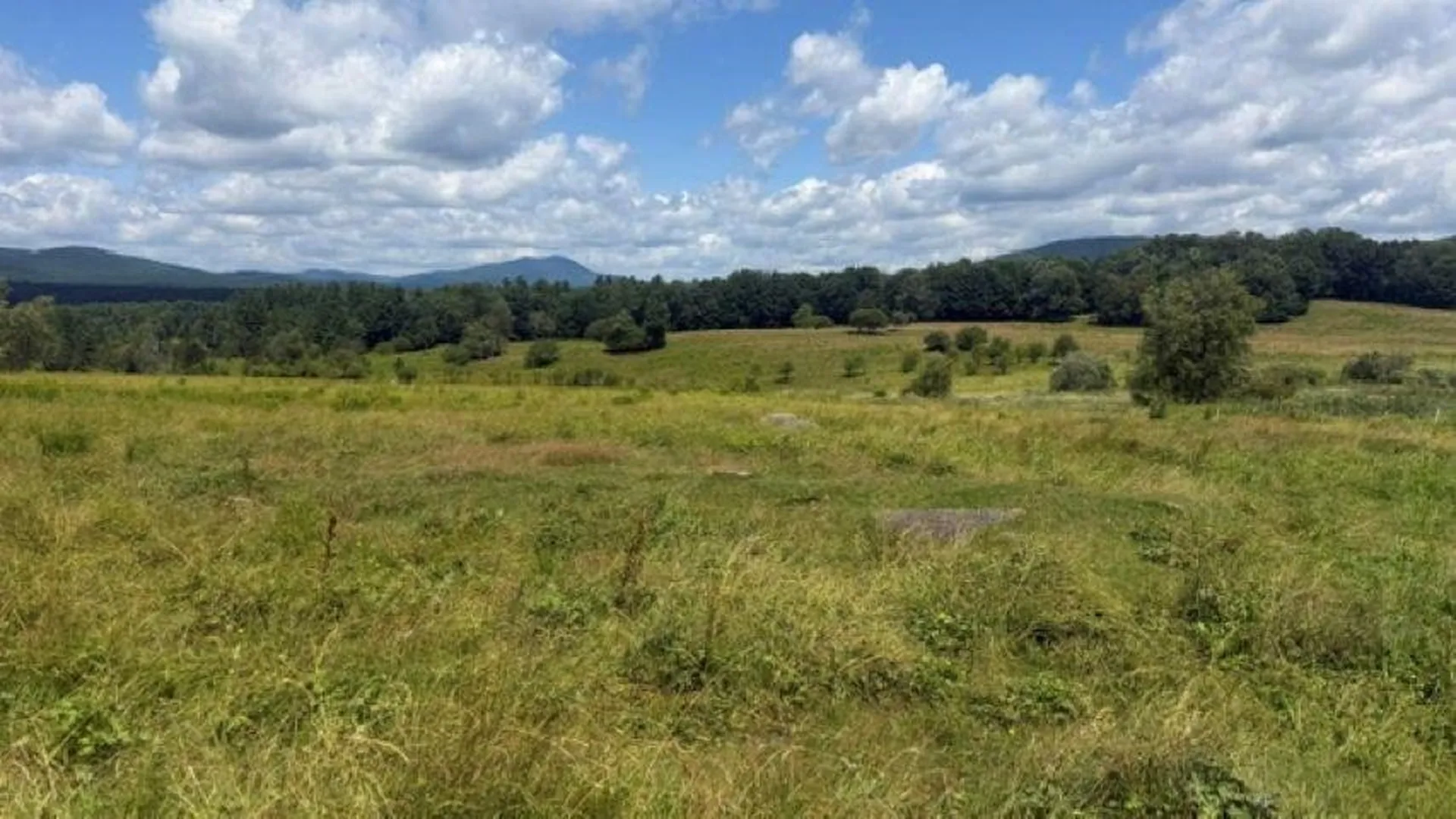 264 Grimes Road Hyde Park VT 05655