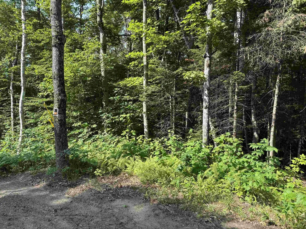 0 North Groton Road Groton NH 03241