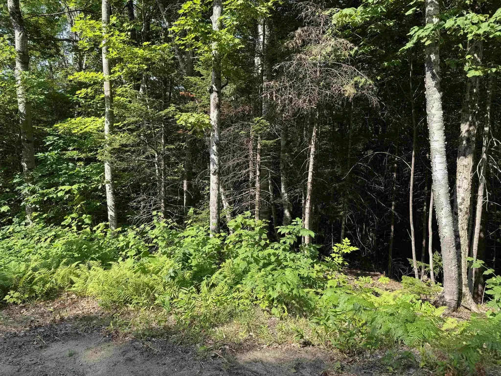 0 North Groton Road Groton NH 03241