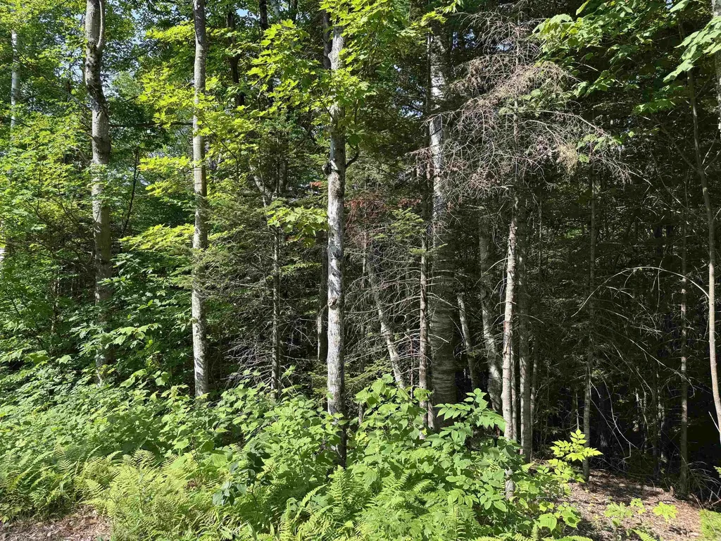 0 North Groton Road Groton NH 03241