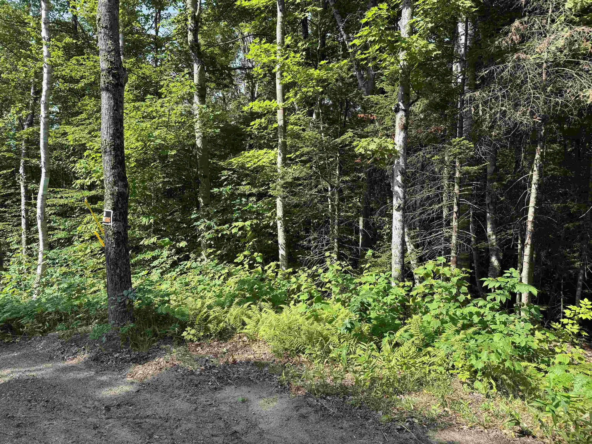 0 North Groton Road Groton NH 03241