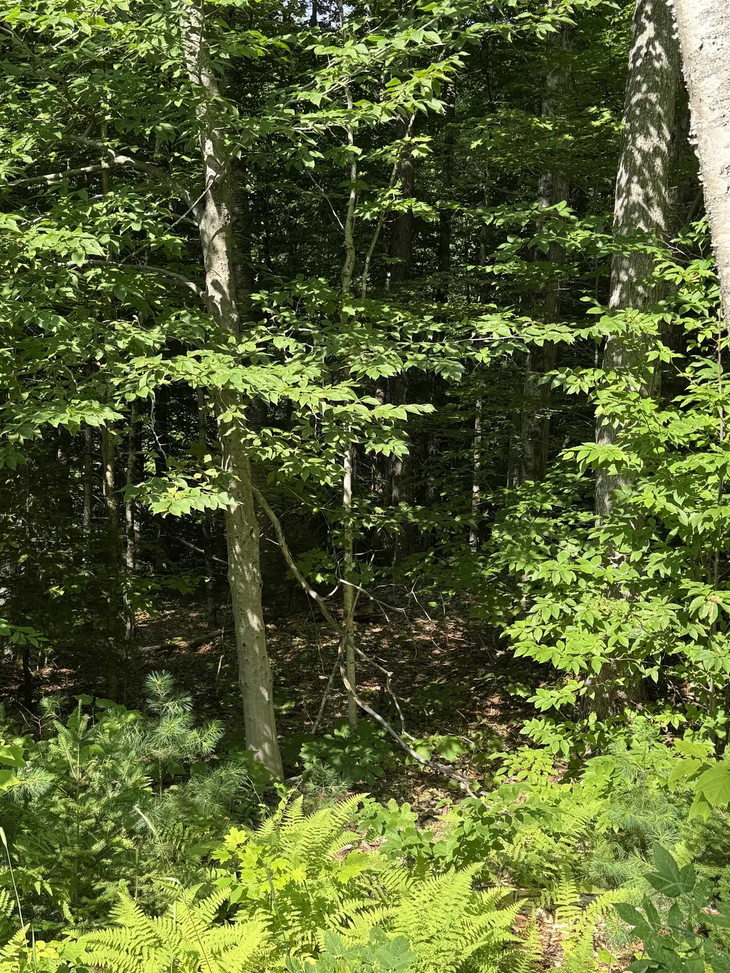 0 North Groton Road Groton NH 03241