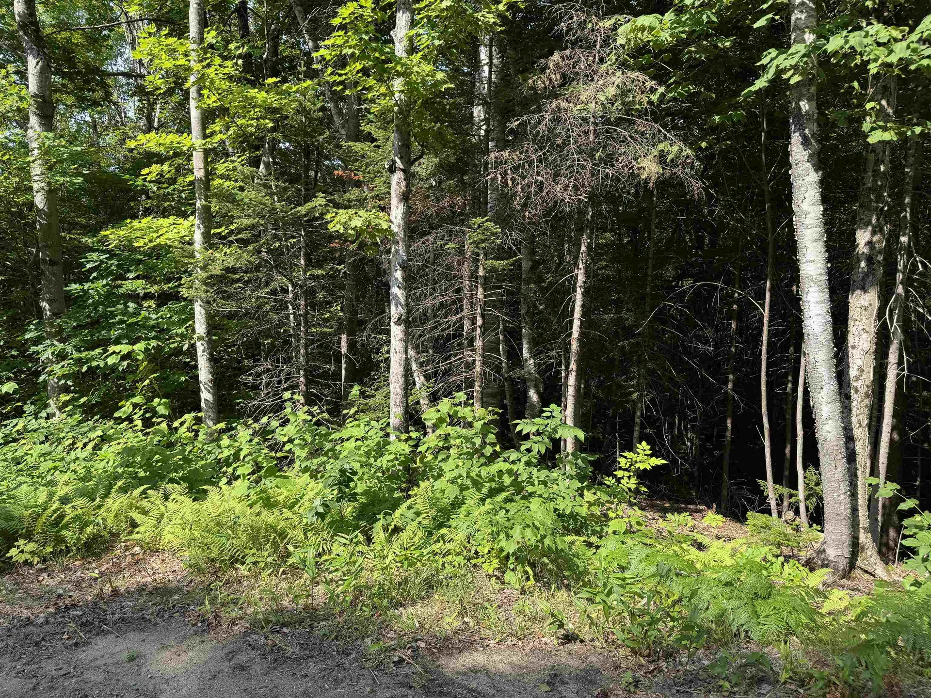 0 North Groton Road Groton NH 03241