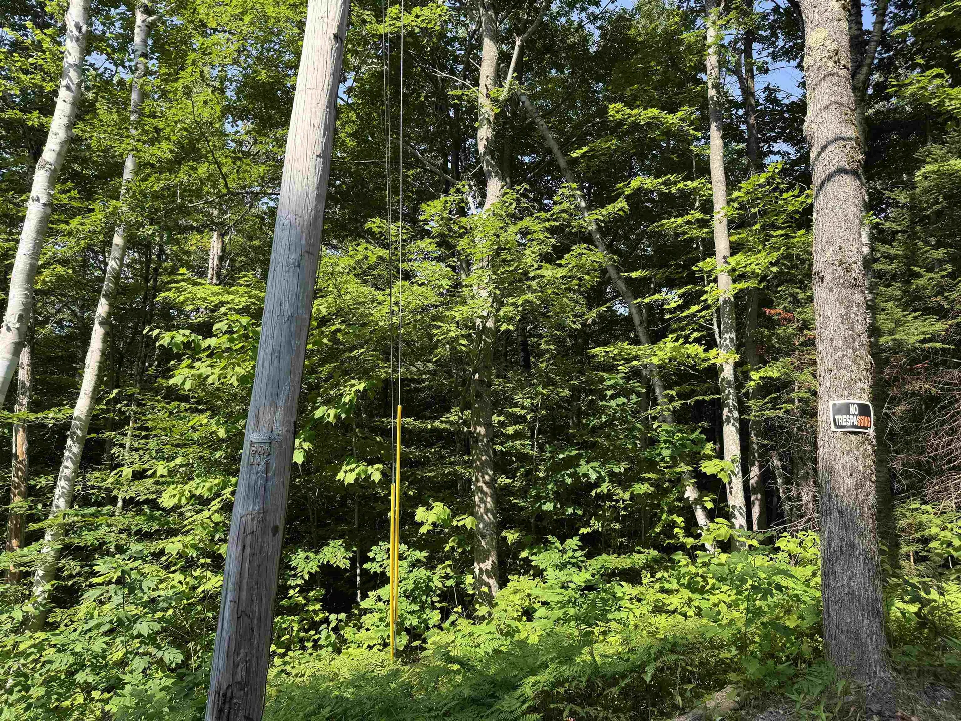 0 North Groton Road Groton NH 03241