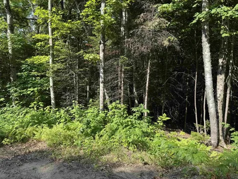 0 North Groton Road Groton NH 03241