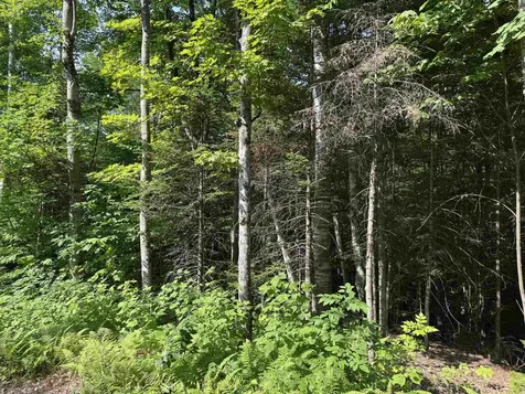 0 North Groton Road Groton NH 03241