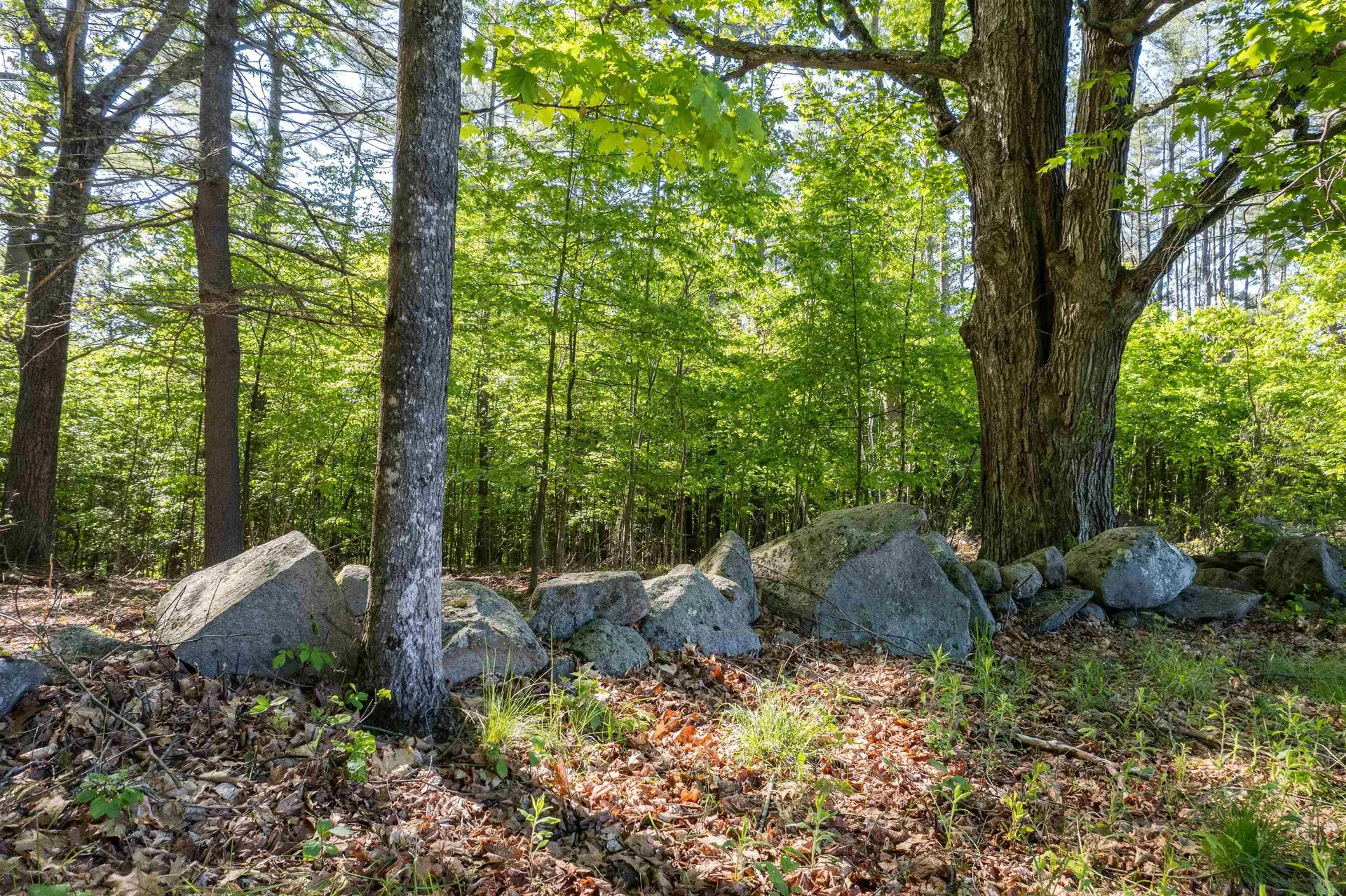 77 Prospect Street Lebanon NH 03766