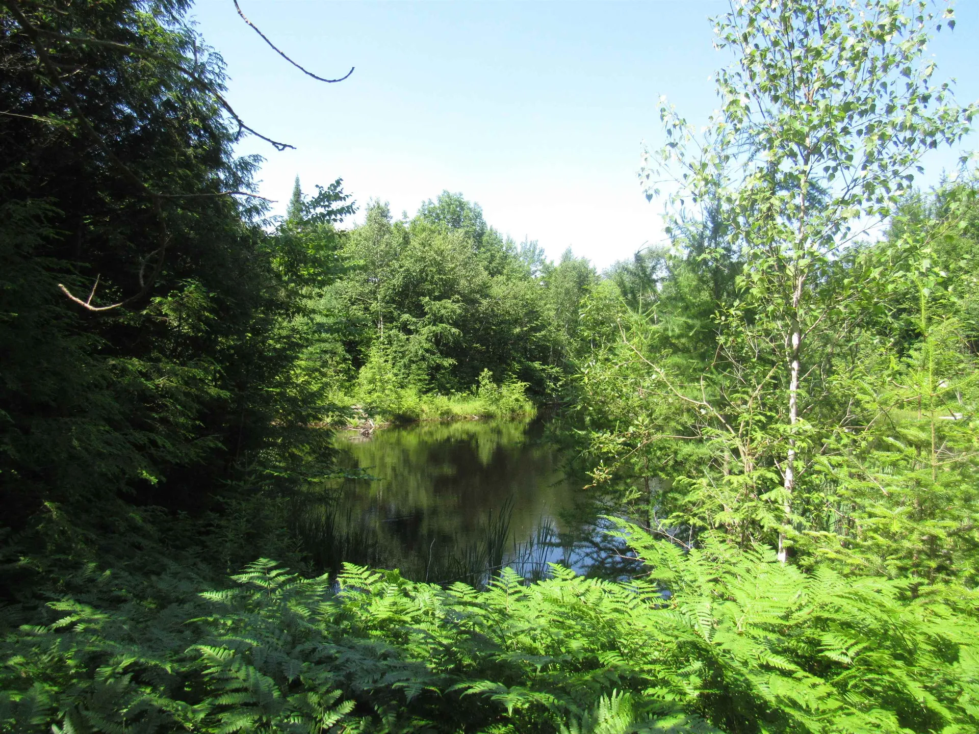 1239 Baldwin Brook Road Wolcott VT 05868-0