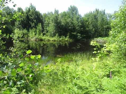 1239 Baldwin Brook Road Wolcott VT 05868-0