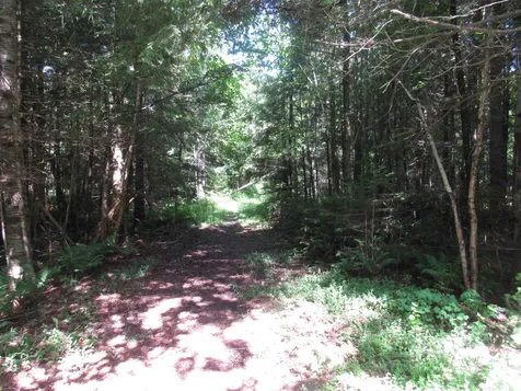 1239 Baldwin Brook Road Wolcott VT 05868-0