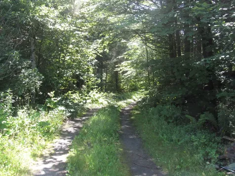 1239 Baldwin Brook Road Wolcott VT 05868-0