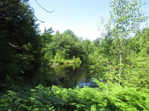 1239 Baldwin Brook Road Wolcott VT 05868-0