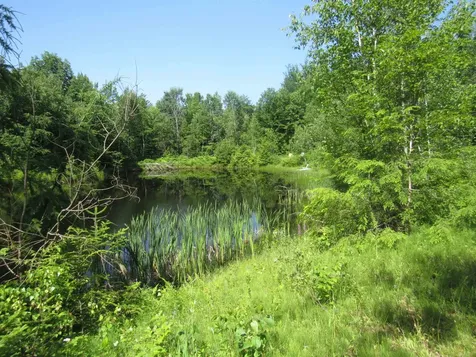 1239 Baldwin Brook Road Wolcott VT 05868-0