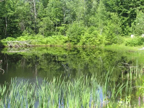 1239 Baldwin Brook Road Wolcott VT 05868-0
