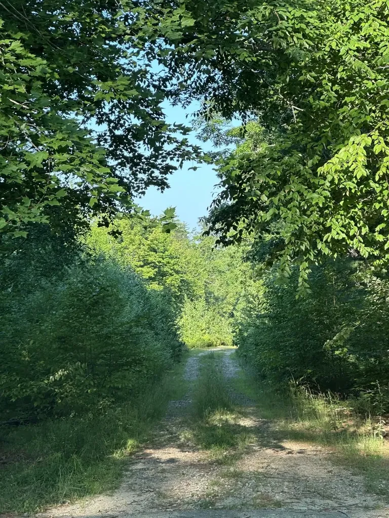 00 Bryant Heights Road Tamworth NH 03886