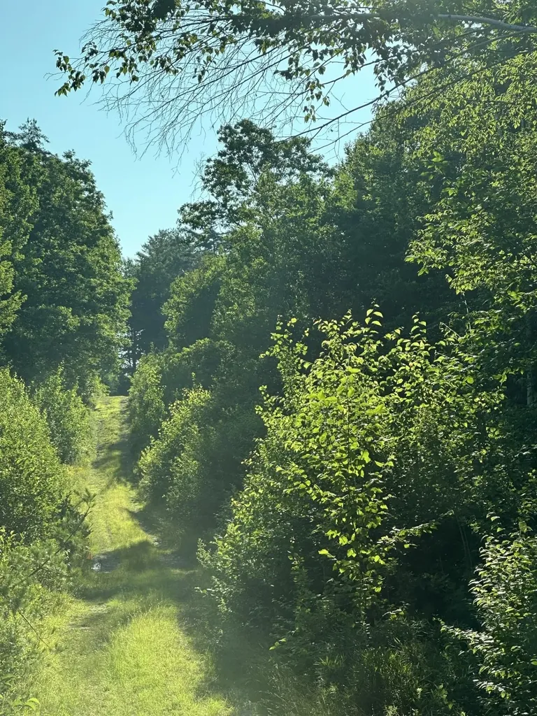 00 Bryant Heights Road Tamworth NH 03886
