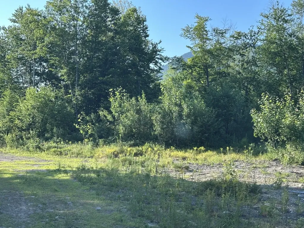 00 Bryant Heights Road Tamworth NH 03886