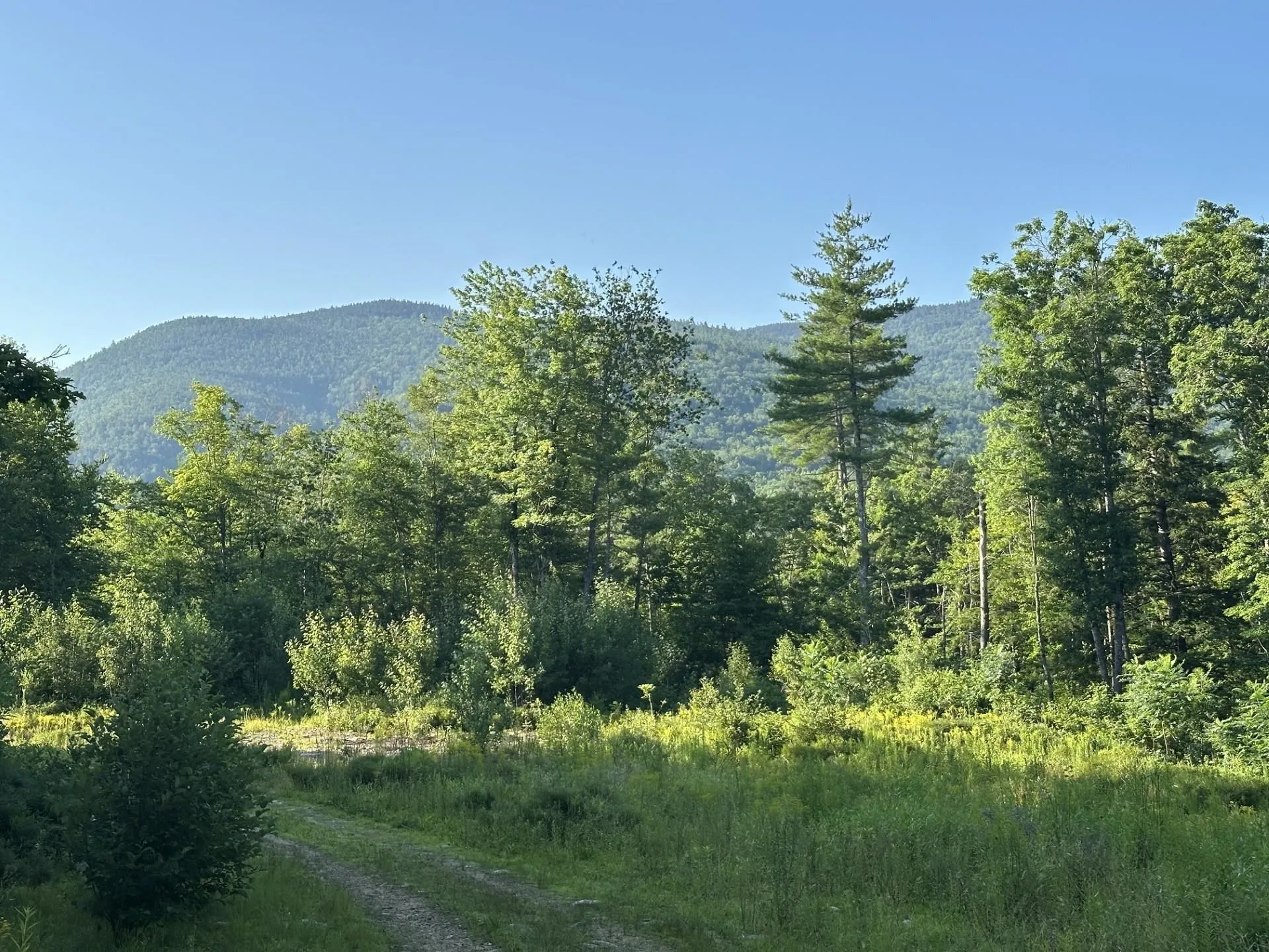 Tamworth NH, 00 Bryant Heights Road
