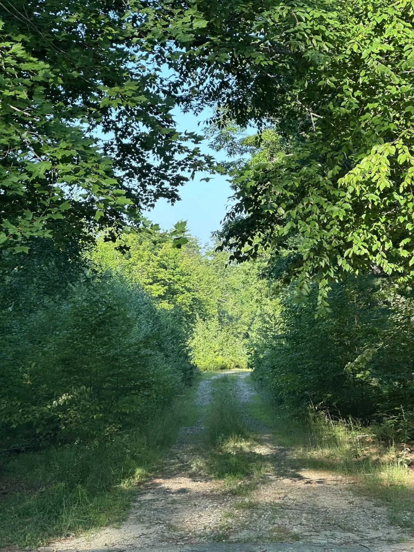 00 Bryant Heights Road Tamworth NH 03886