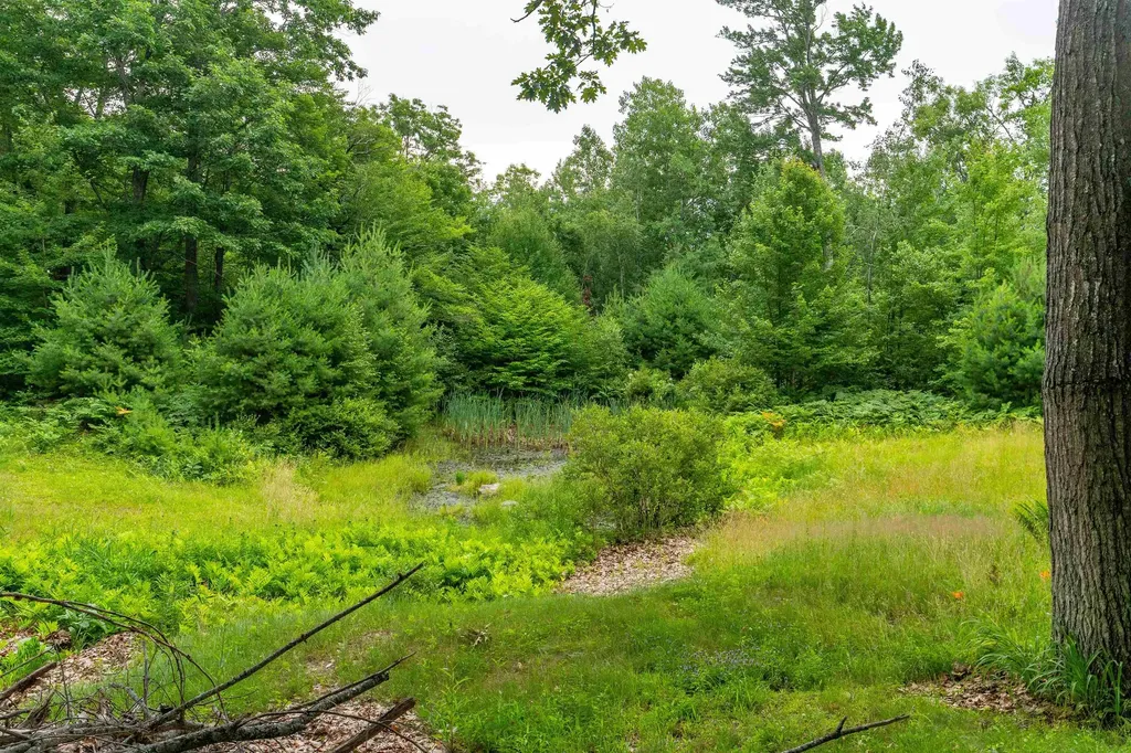 90 Champion Hill Road Effingham NH 03882