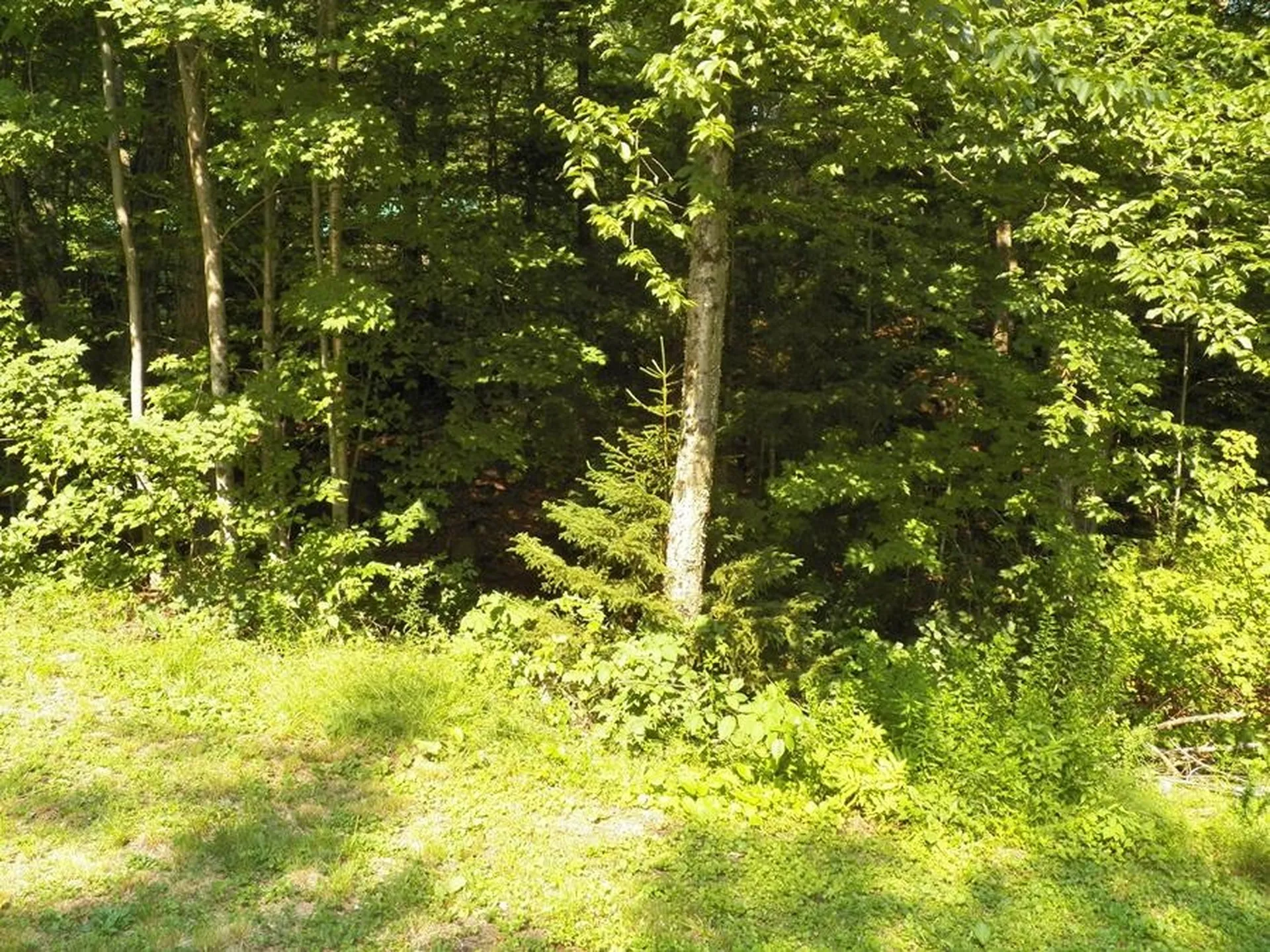 116 Beaver Lake Drive Stoddard NH 03464