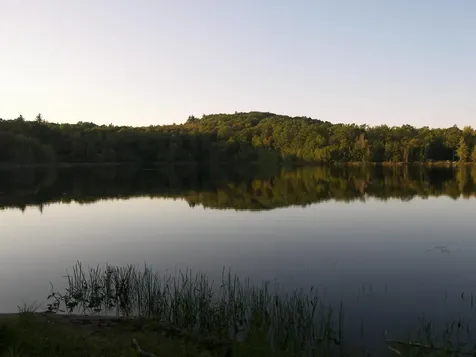116 Beaver Lake Drive Stoddard NH 03464