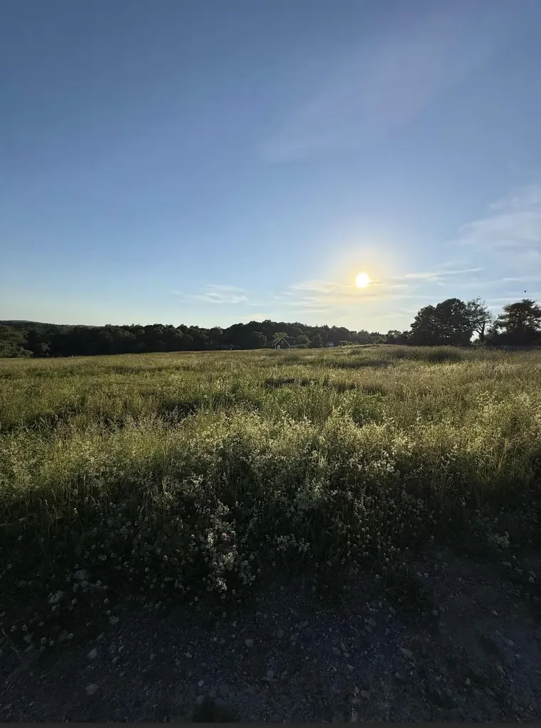 31 Pasture Lane Pelham NH 03076