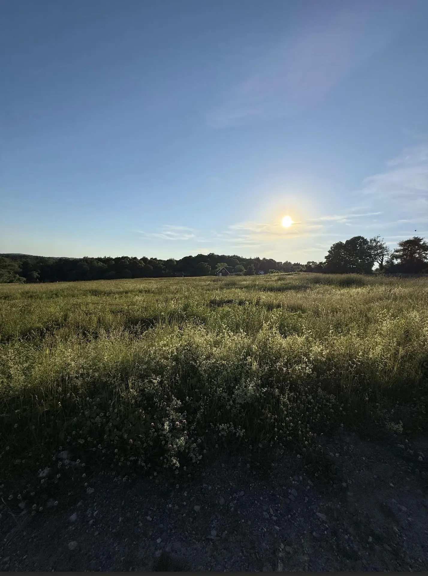 31 Pasture Lane Pelham NH 03076