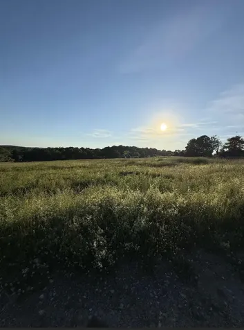 31 Pasture Lane Pelham NH 03076