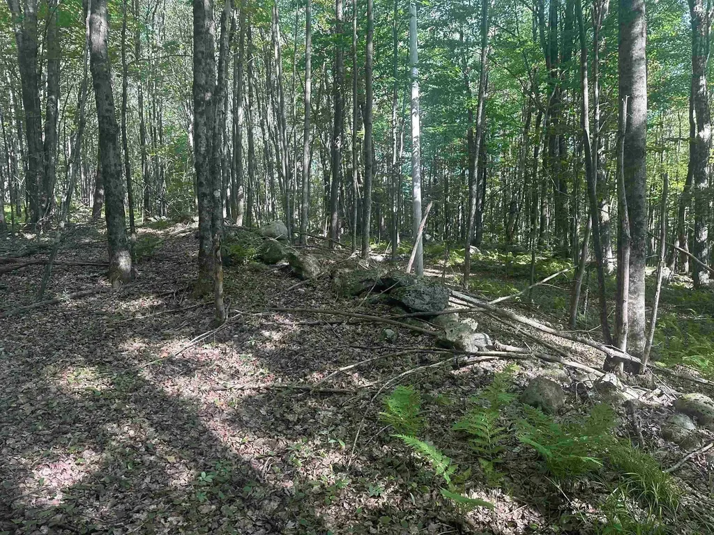 791 Journey End Mendon VT 05701