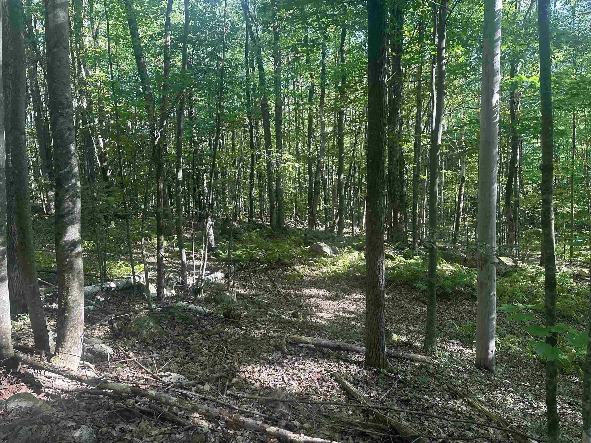 791 Journey End Mendon VT 05701