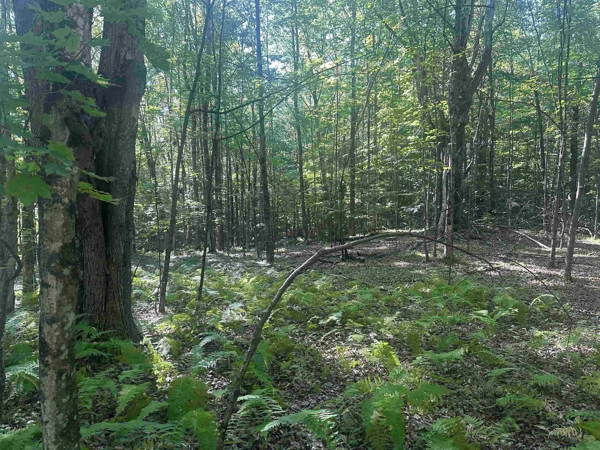 791 Journey End Mendon VT 05701