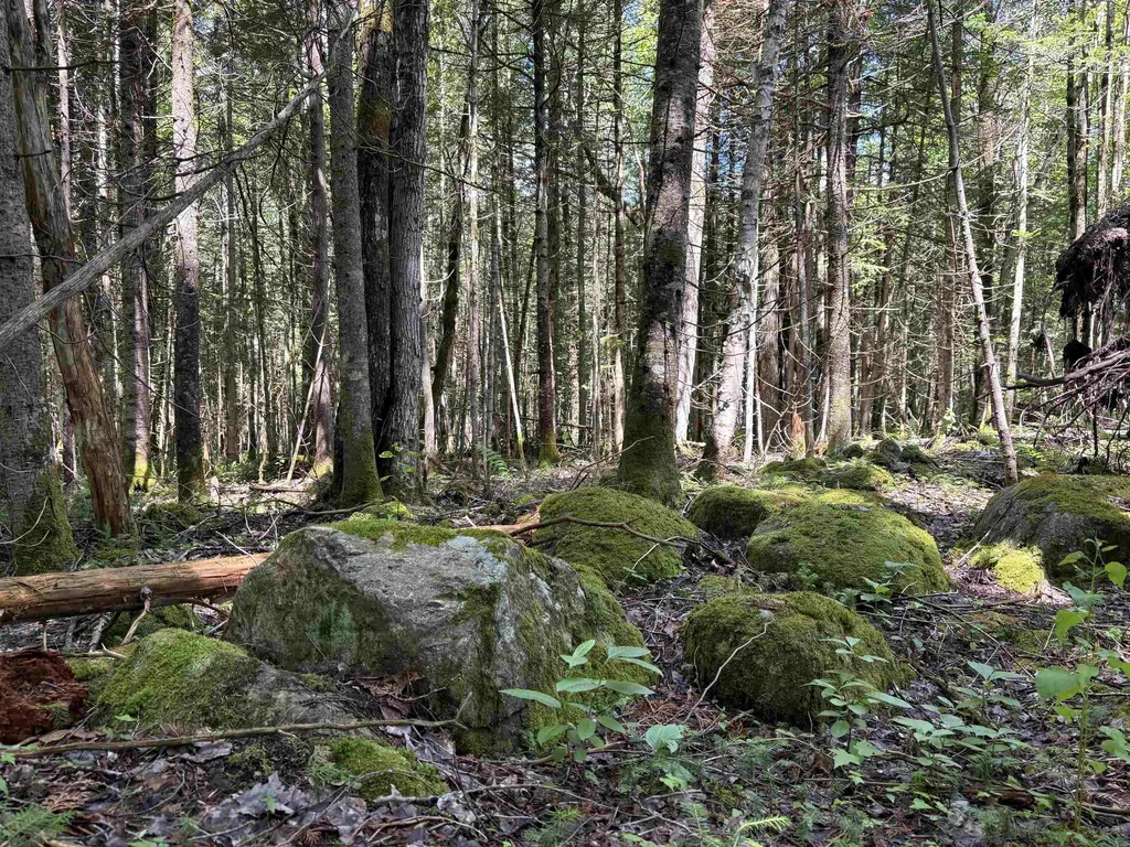 0 Newark Road Brighton VT 05846