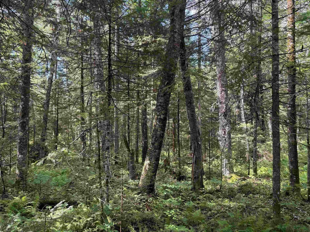 0 Newark Road Brighton VT 05846