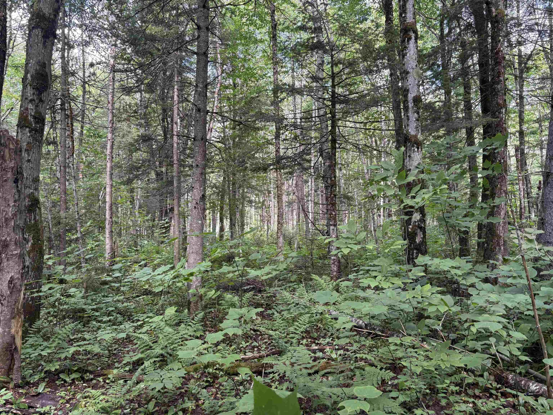 0 Newark Road Brighton VT 05846