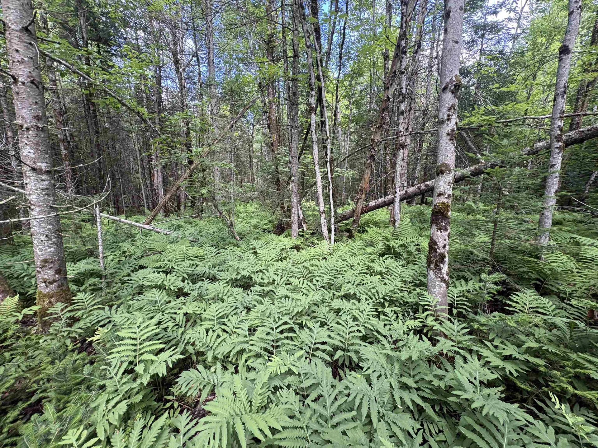 0 Newark Road Brighton VT 05846