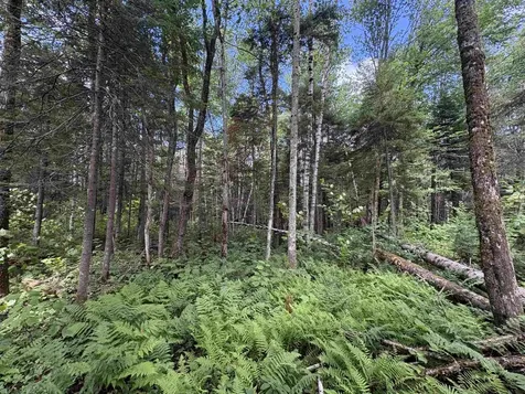 0 Newark Road Brighton VT 05846