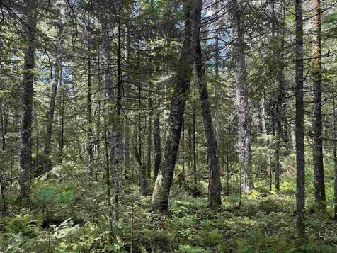 0 Newark Road Brighton VT 05846