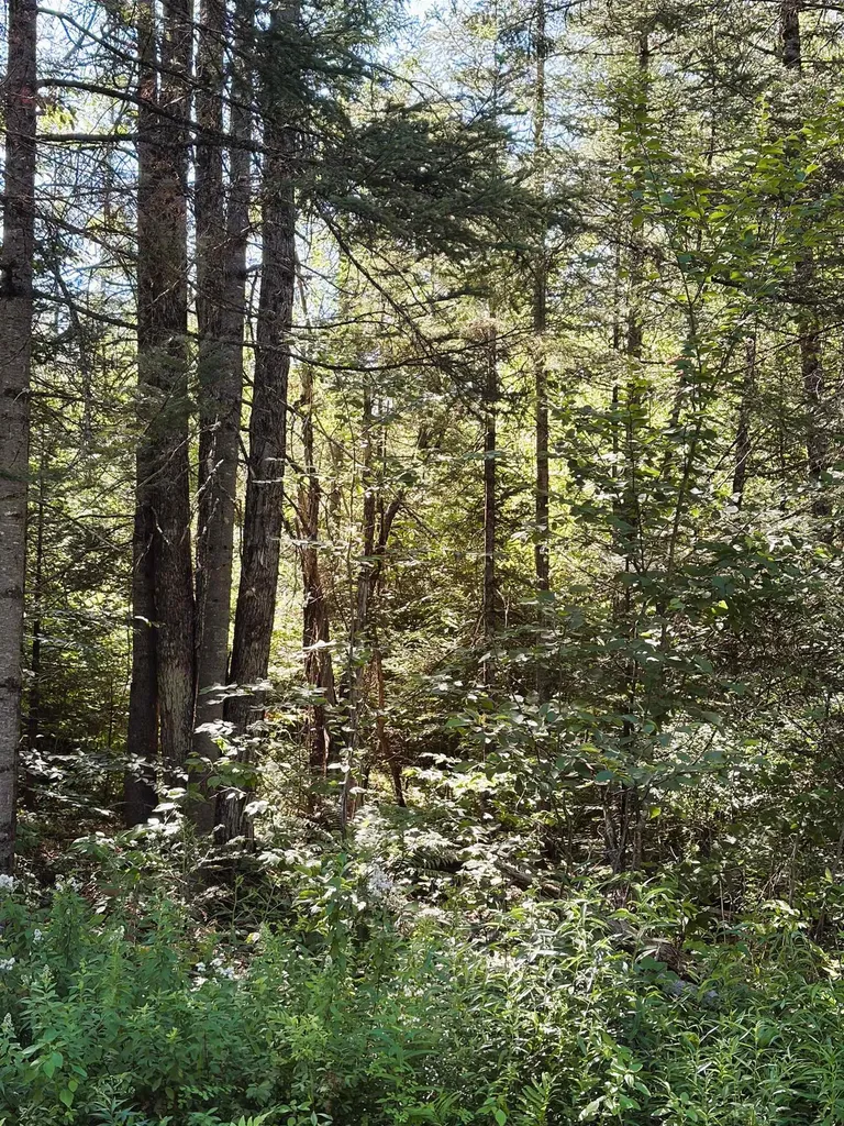 0 Parker Road Whitefield NH 03598