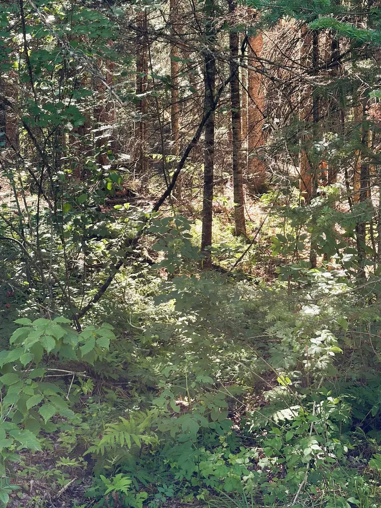 0 Parker Road Whitefield NH 03598