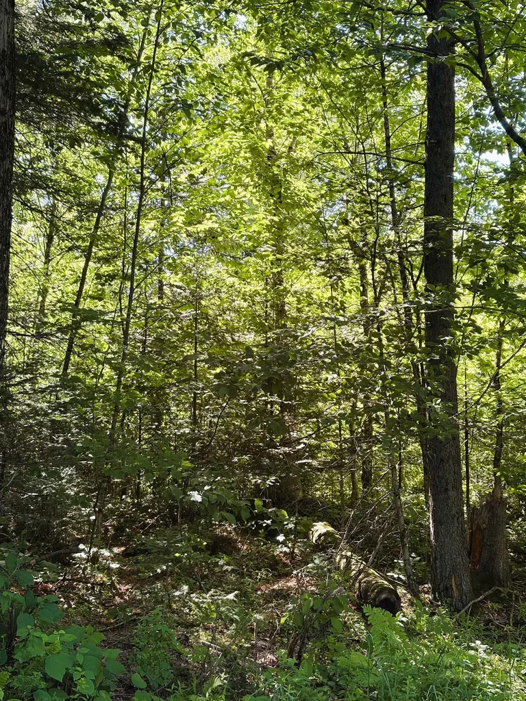 0 Parker Road Whitefield NH 03598