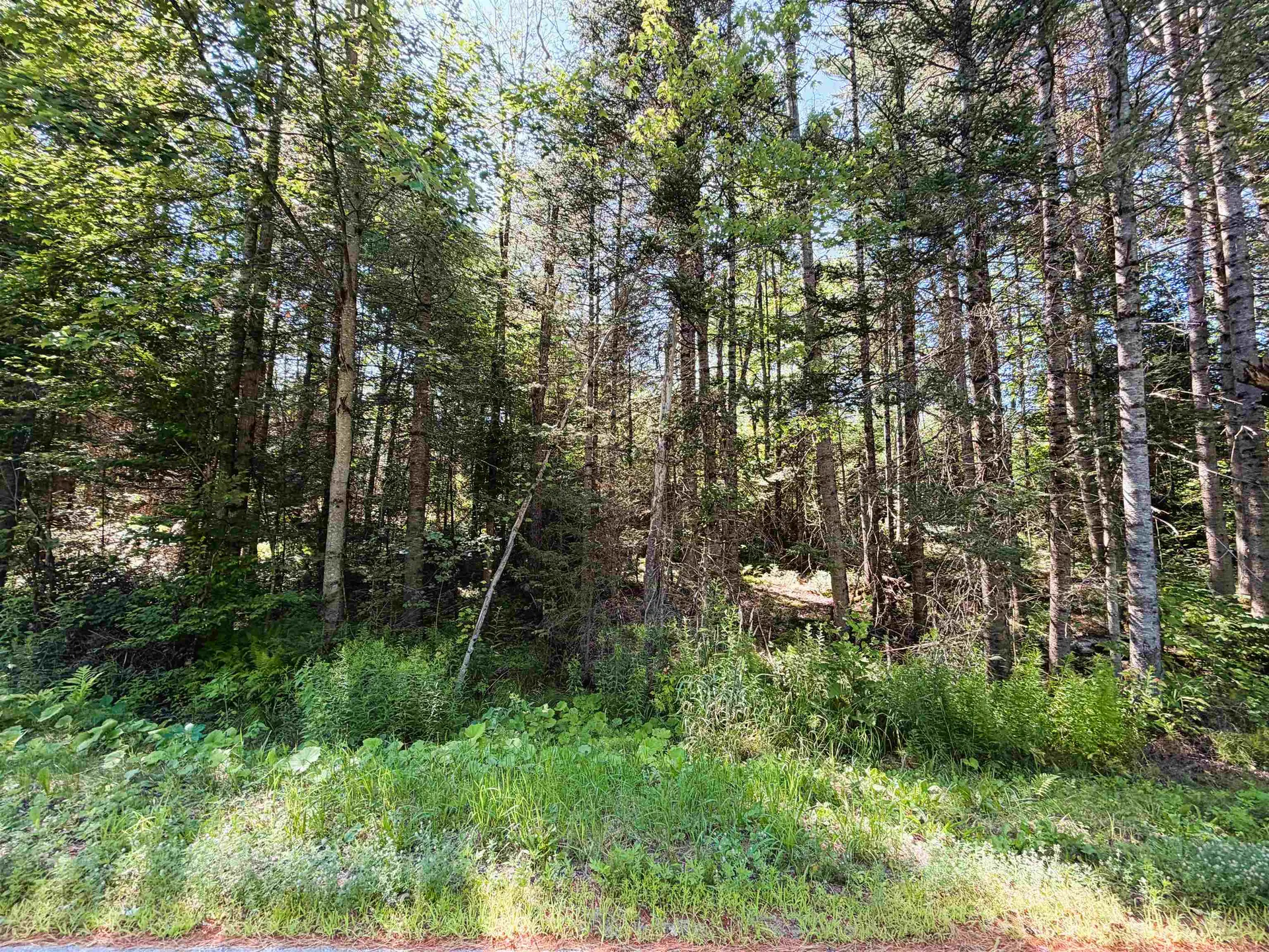 0 Parker Road Whitefield NH 03598